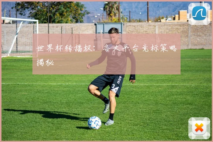 世界杯转播权:各大平台竞标策略揭秘
