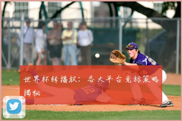 世界杯转播权：各大平台竞标策略揭秘